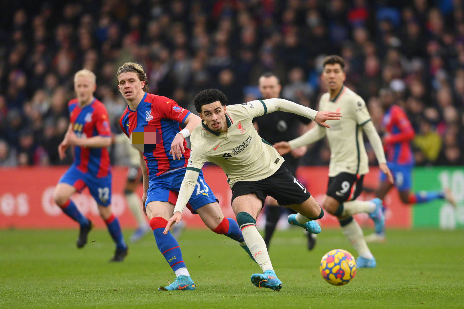 证了他对胜 证了他对胜